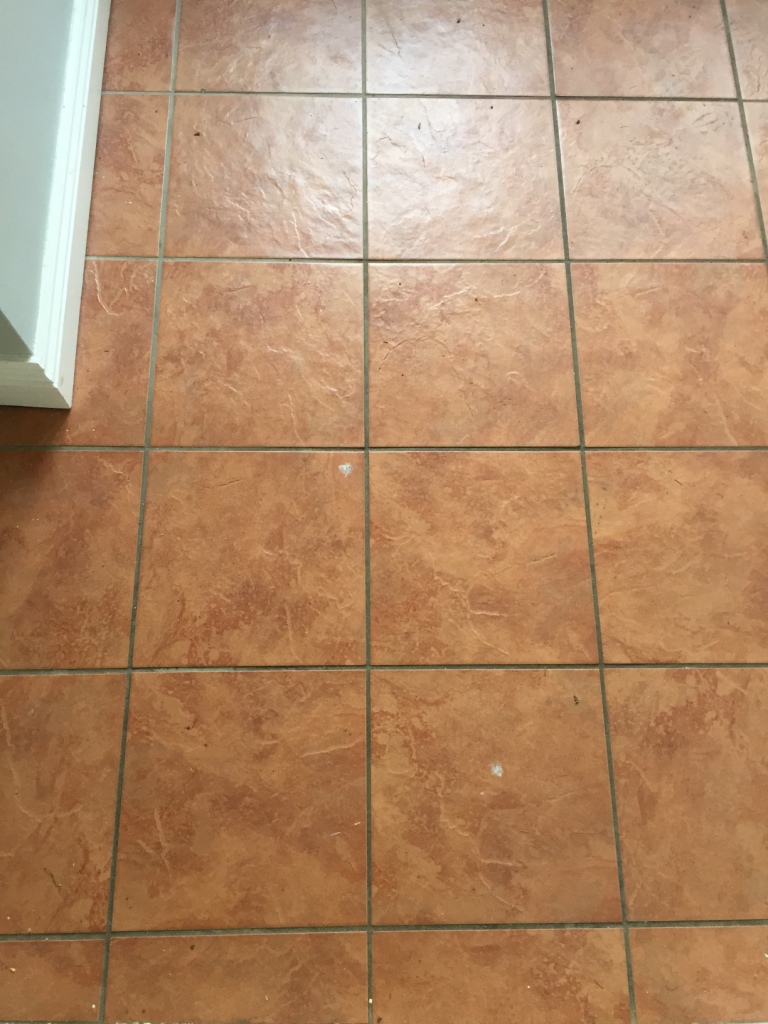 Porcelain Tiled Utility Floor Before Cleaning in Hull
