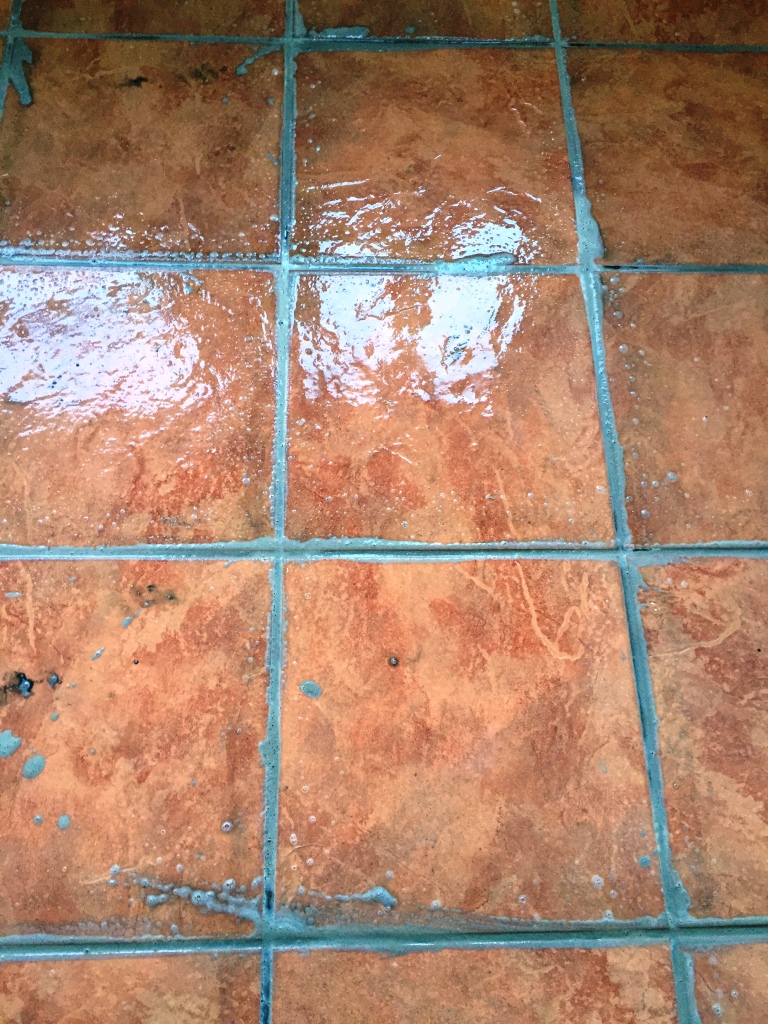 Porcelain Tiled Utility Floor During Grout Sealing in Hull